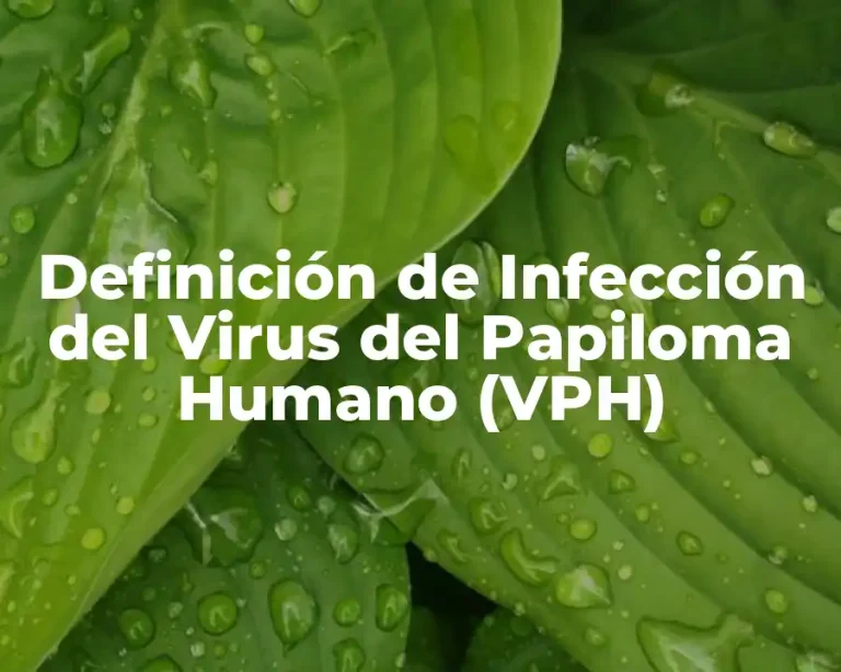 Definición de Infección del Virus del Papiloma Humano (VPH)