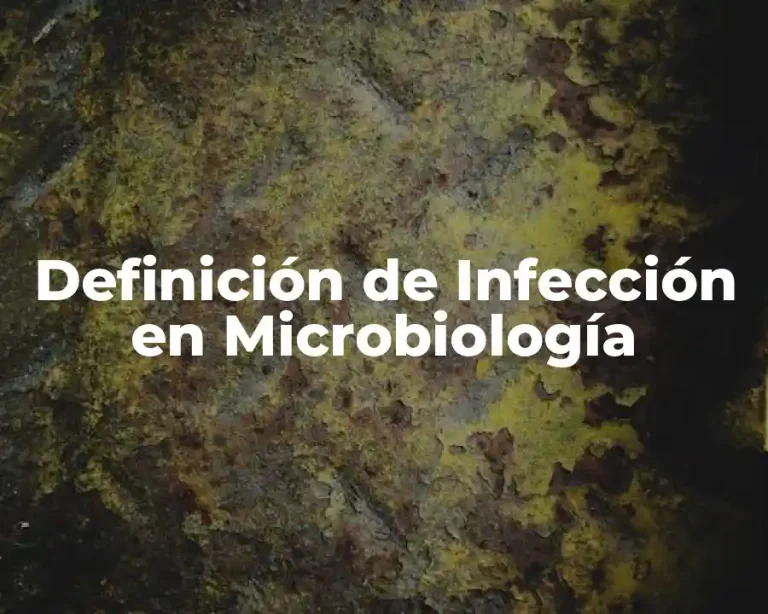 Definición de Infección en Microbiología