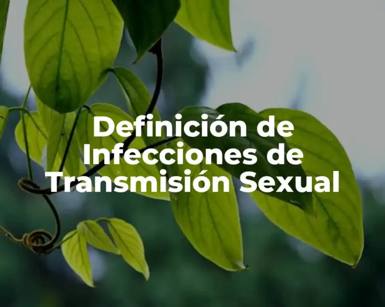 Definición de Infecciones de Transmisión Sexual
