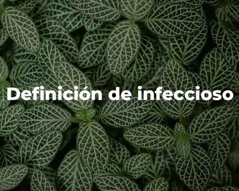 Definición de infeccioso