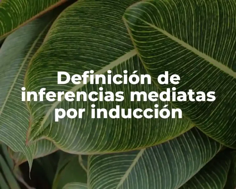 Definición de inferencias mediatas por inducción