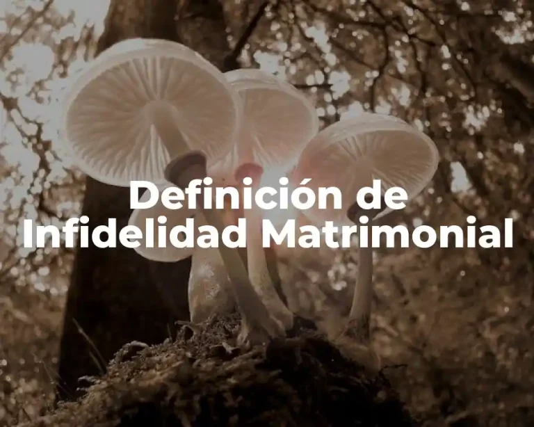 Definición de Infidelidad Matrimonial