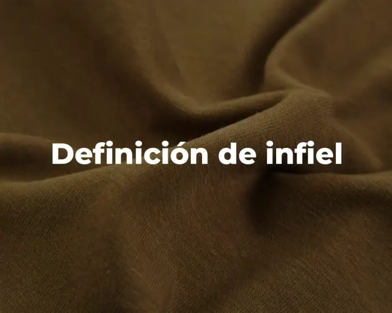 Definición de infiel