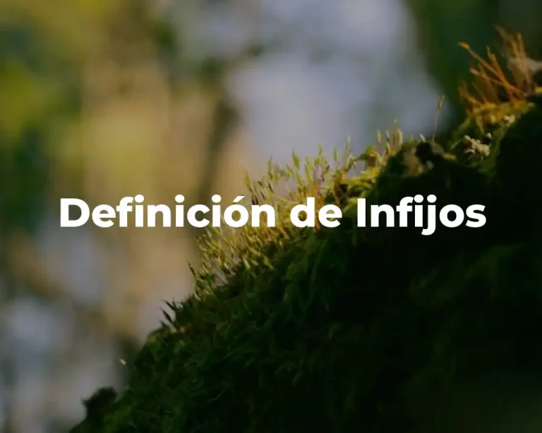 Definición de Infijos