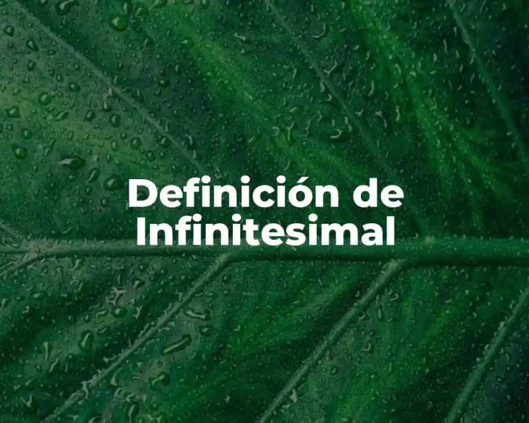 Definición de Infinitesimal