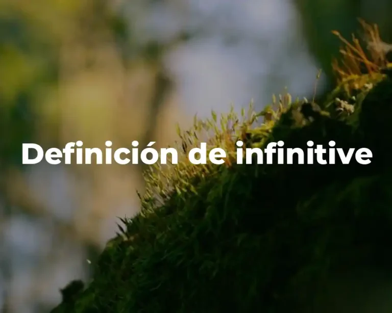 Definición de infinitive