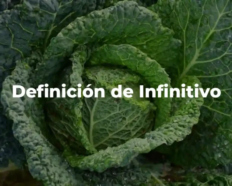 Definición de Infinitivo