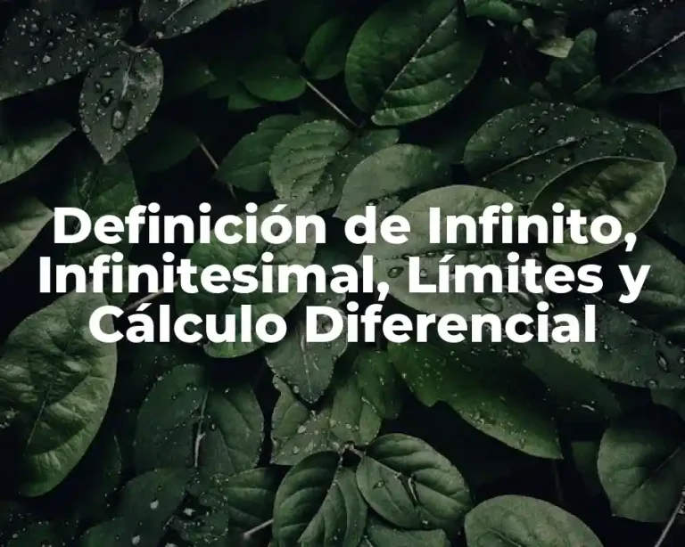 Definición de Infinito, Infinitesimal, Límites y Cálculo Diferencial
