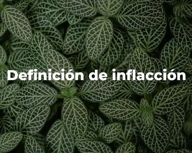 Definición de inflacción