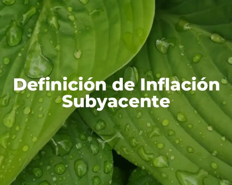 Definición de Inflación Subyacente