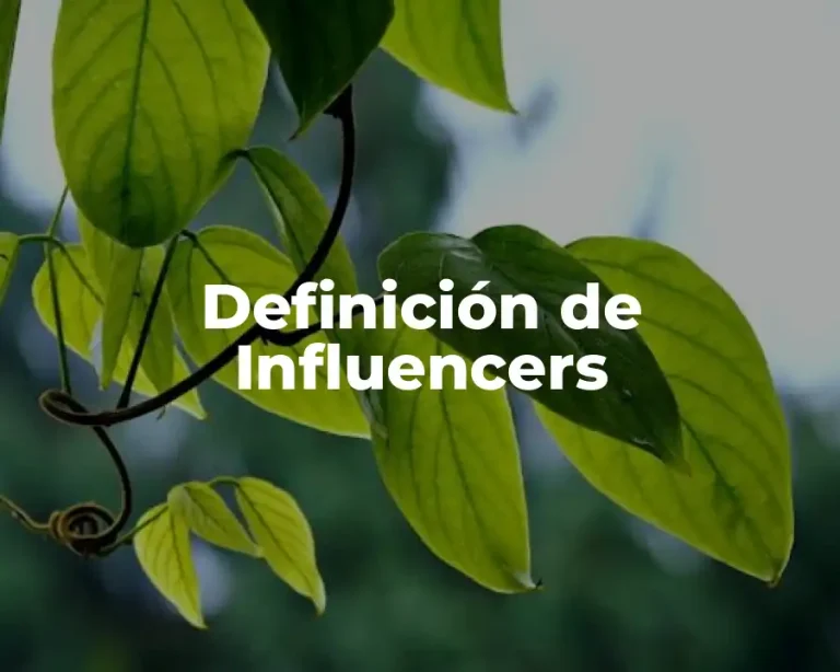 Definición de Influencers