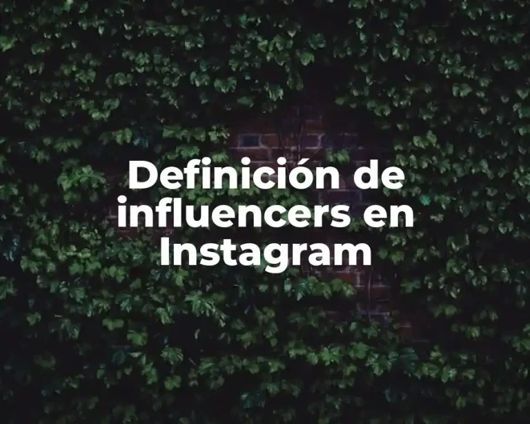Definición de influencers en Instagram