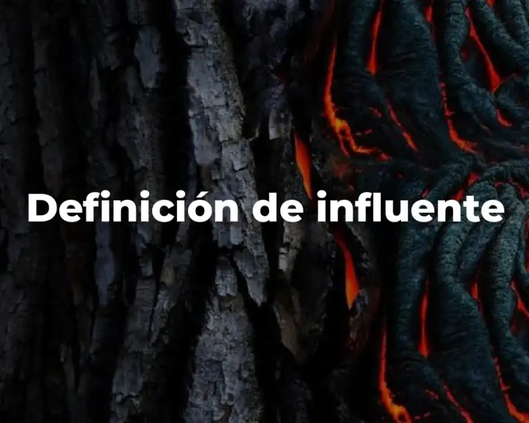 Definición de influente