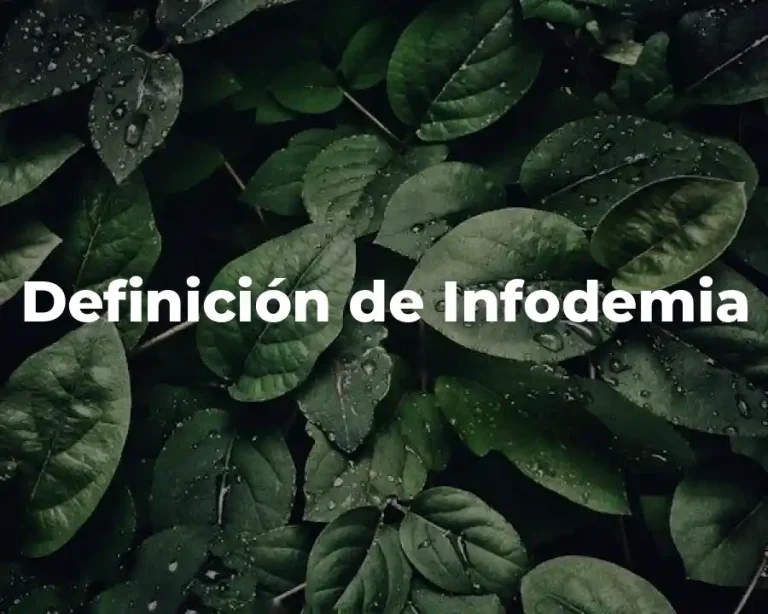 Definición de Infodemia