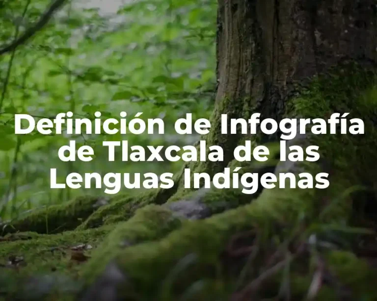 Definición de Infografía de Tlaxcala de las Lenguas Indígenas