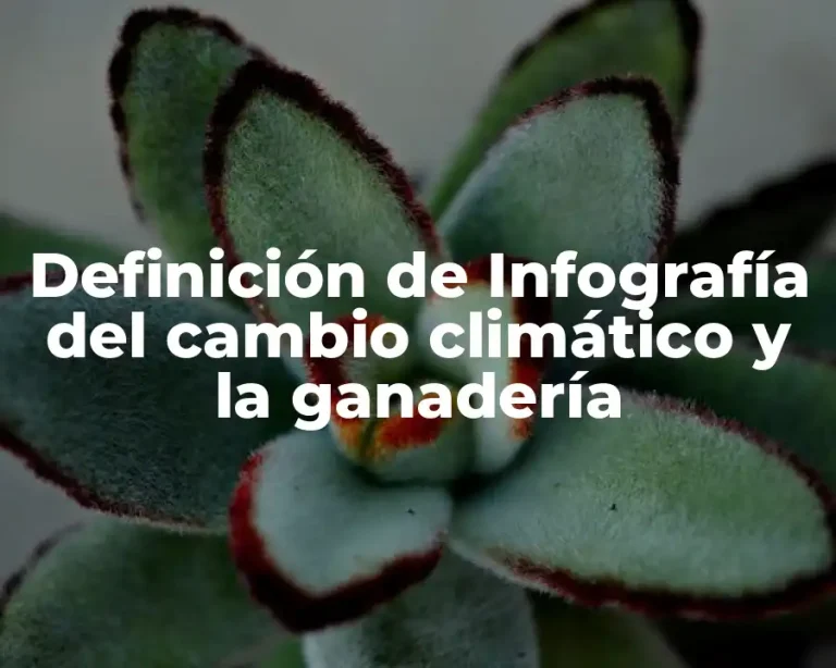 Definición de Infografía del cambio climático y la ganadería