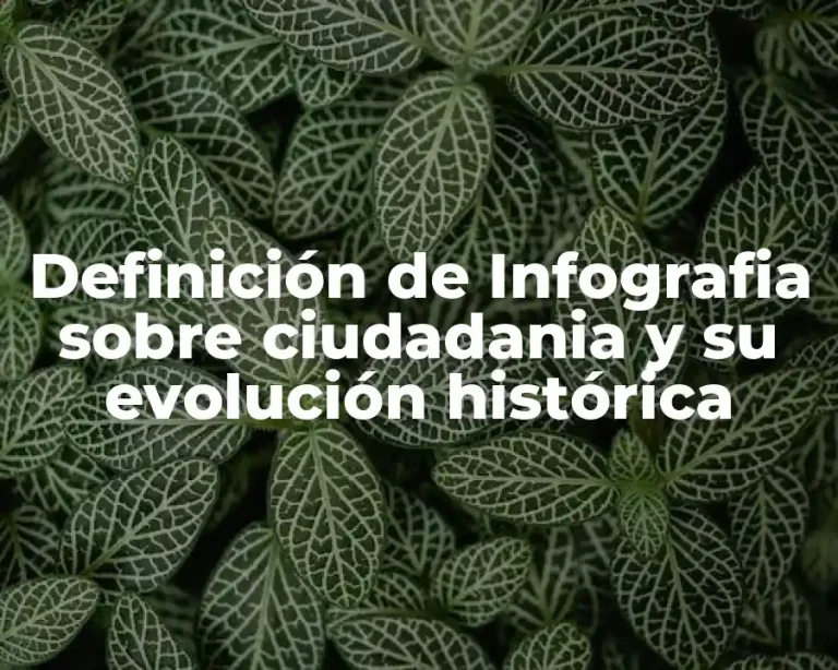 Definición de Infografia sobre ciudadania y su evolución histórica