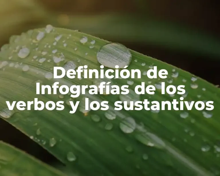 Definición de Infografías de los verbos y los sustantivos