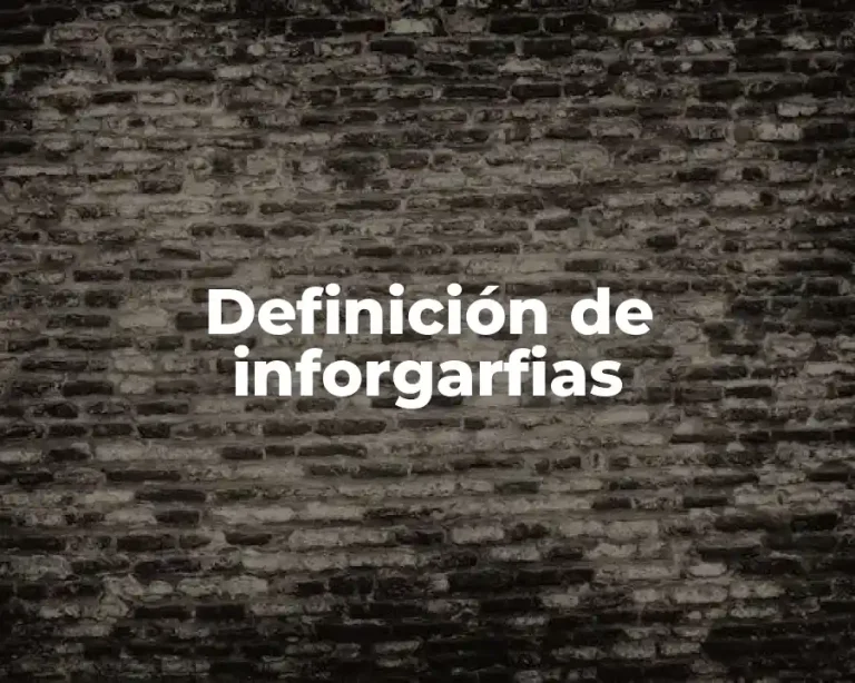 Definición de inforgarfias