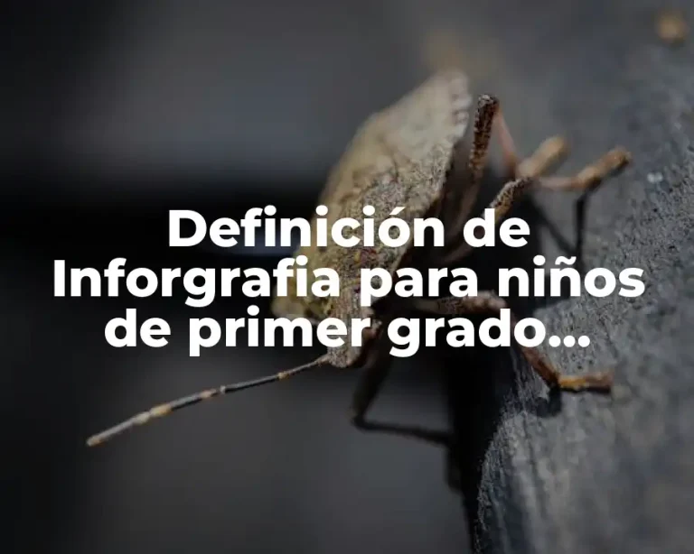 Definición de Inforgrafia para niños de primer grado primera