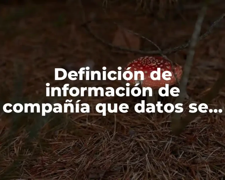Definición de información de compañía que datos se requieren