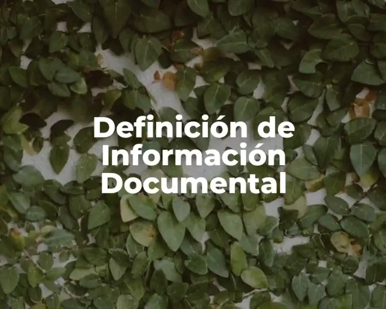 Definición de Información Documental