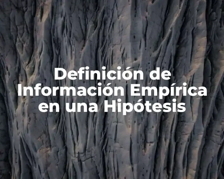 Definición de Información Empírica en una Hipótesis