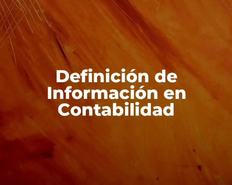 Definición de Información en Contabilidad