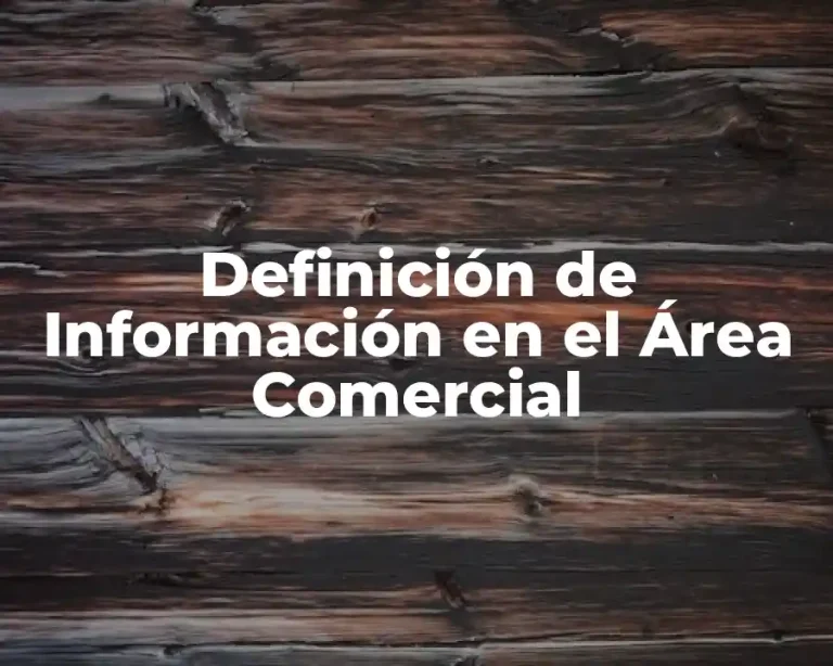 Definición de Información en el Área Comercial