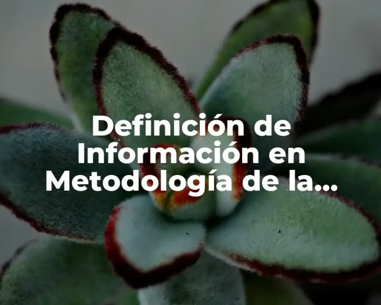 Definición de Información en Metodología de la Investigación