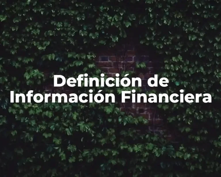 Definición de Información Financiera