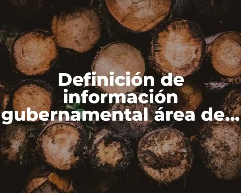 Definición de información gubernamental área de finanzas