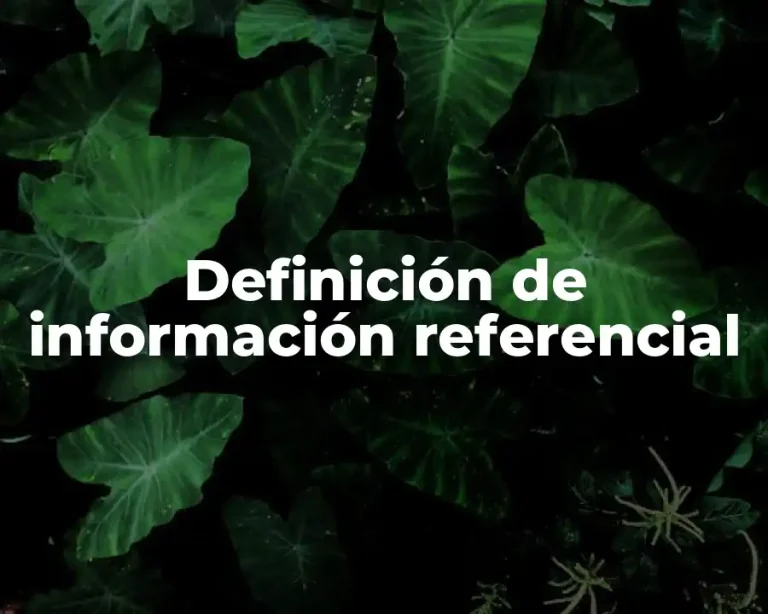 Definición de información referencial
