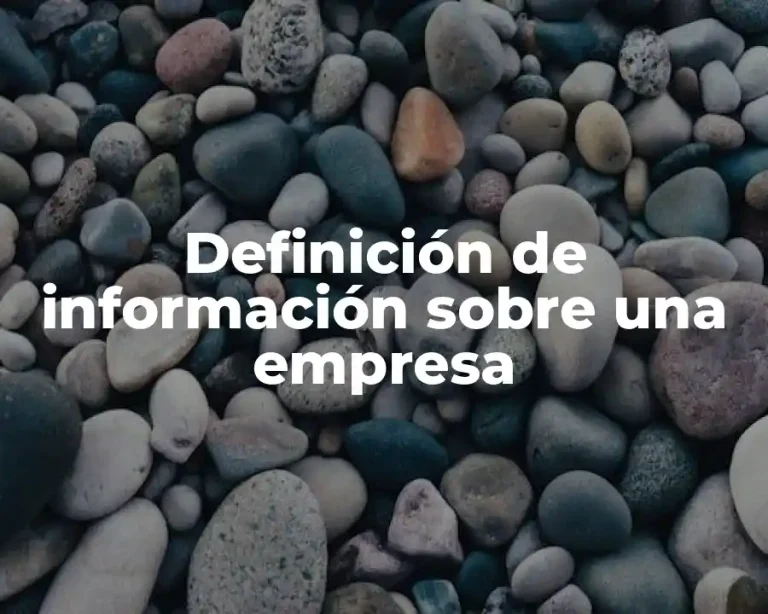 Definición de información sobre una empresa