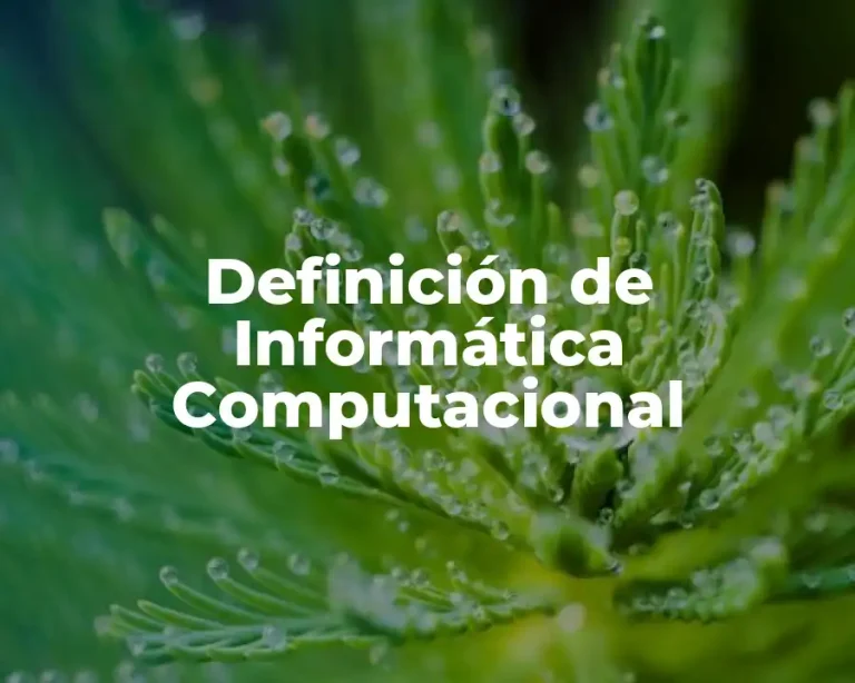 Definición de Informática Computacional