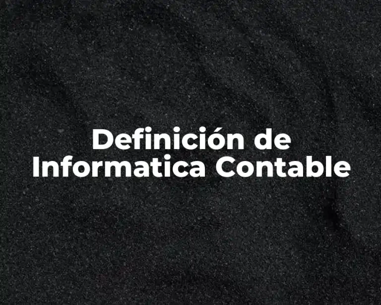 Definición de Informatica Contable