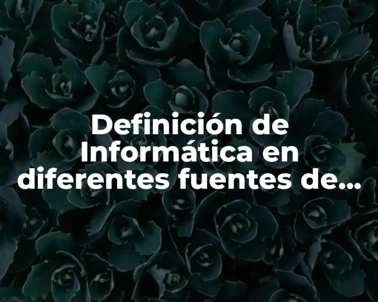 Definición de Informática en diferentes fuentes de información