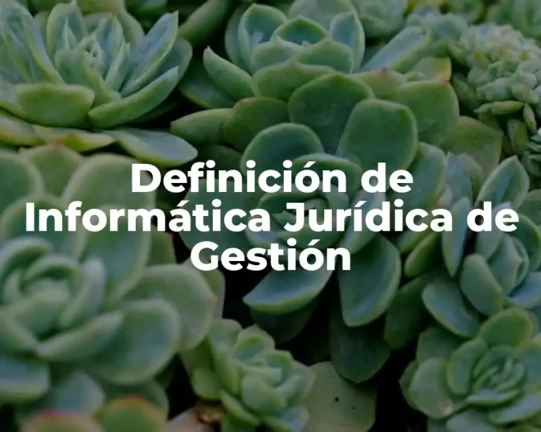 Definición de Informática Jurídica de Gestión