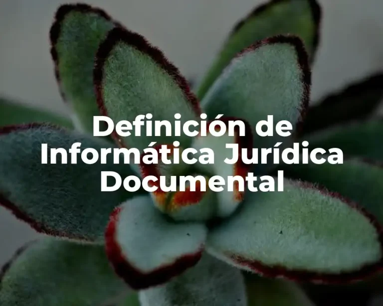 Definición de Informática Jurídica Documental