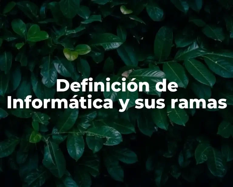 Definición de Informática y sus ramas