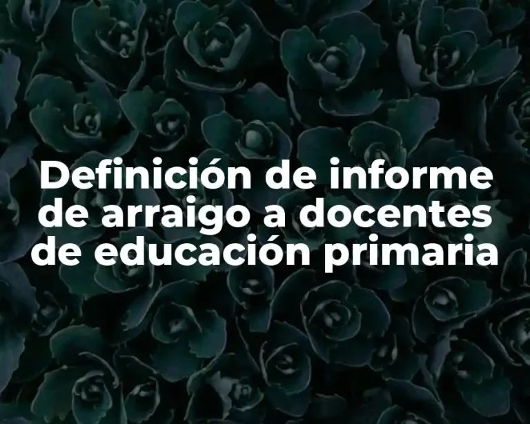 Definición de informe de arraigo a docentes de educación primaria