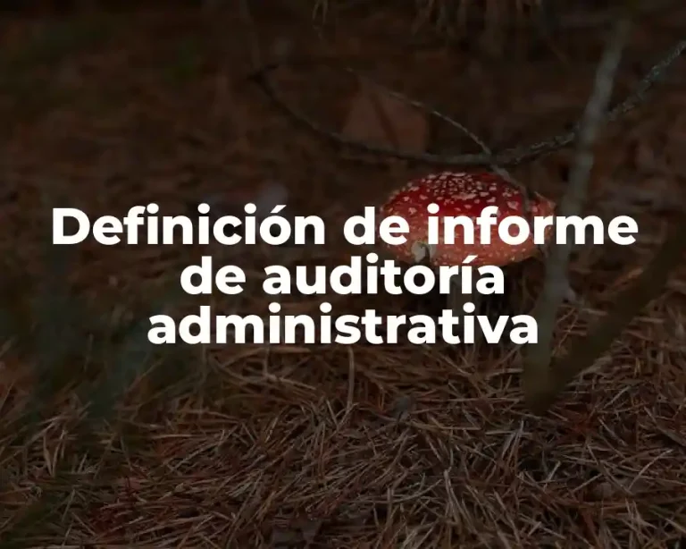 Definición de informe de auditoría administrativa