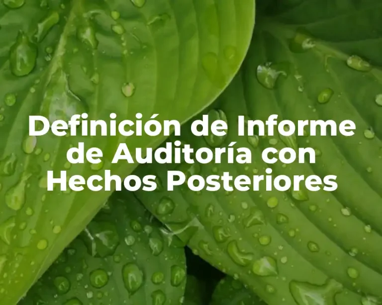 Definición de Informe de Auditoría con Hechos Posteriores