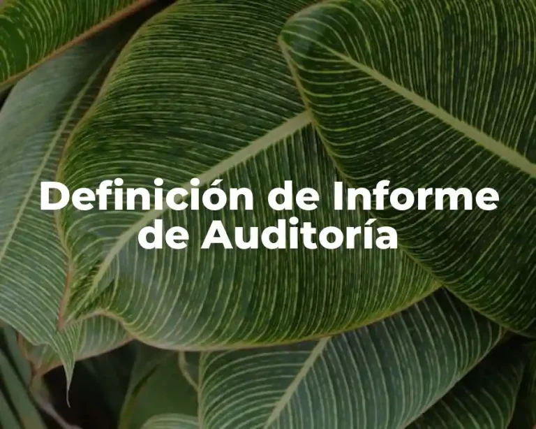 Definición de Informe de Auditoría