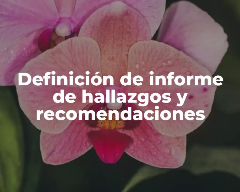 Definición de informe de hallazgos y recomendaciones
