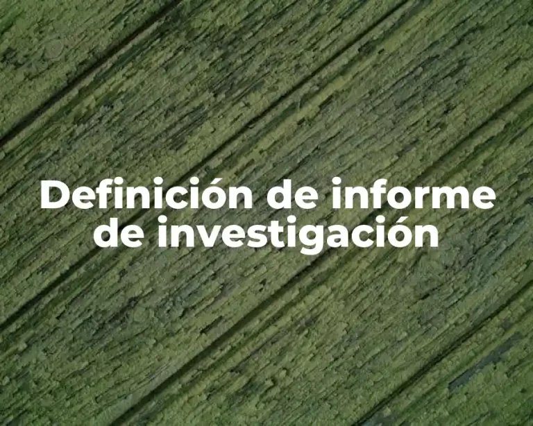 Definición de informe de investigación