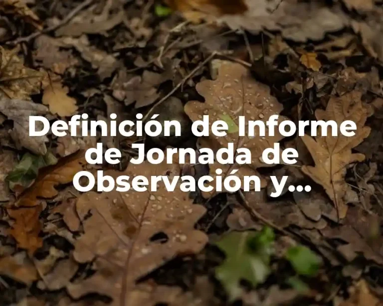 Definición de Informe de Jornada de Observación y Ayudantía Preescolar