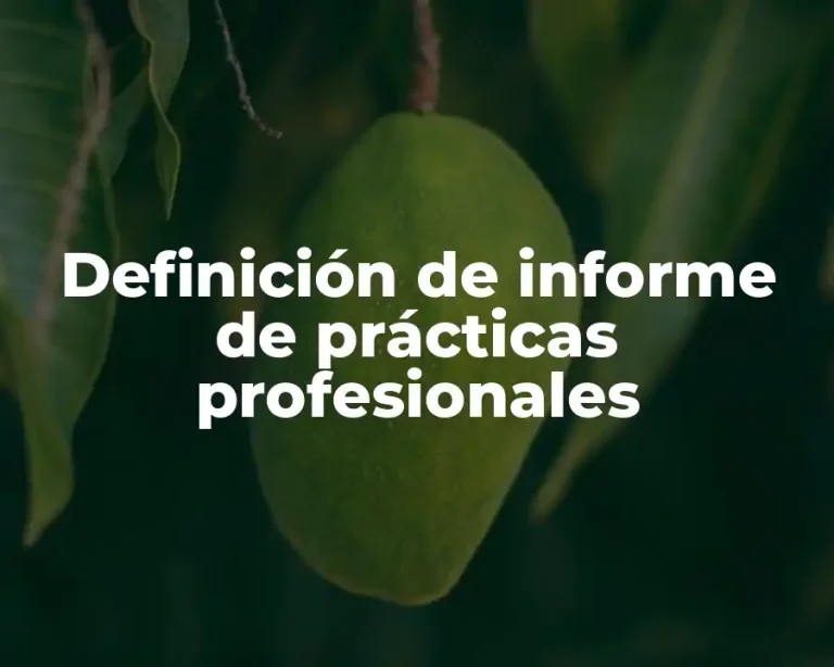 Definición de informe de prácticas profesionales