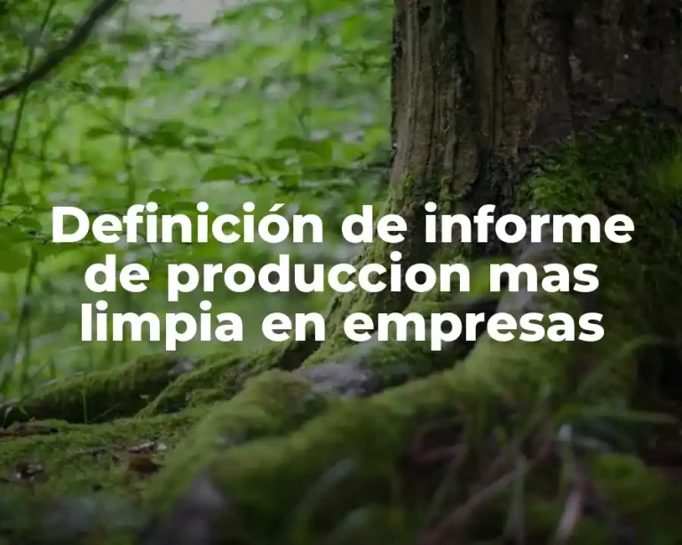 Definición de informe de produccion mas limpia en empresas