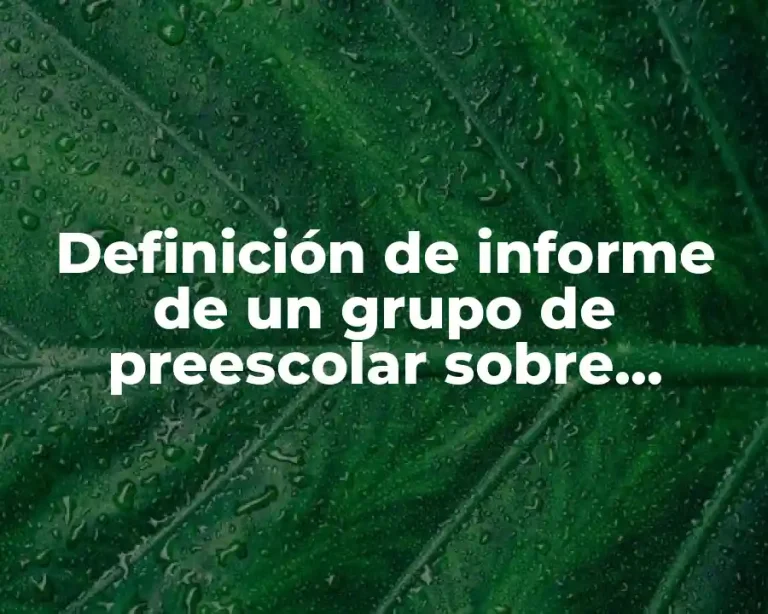 Definición de informe de un grupo de preescolar sobre autoregulacion